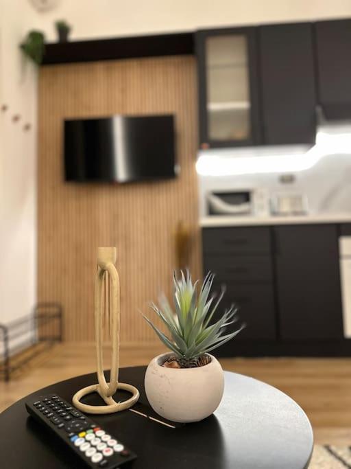 Appartement La Casa Di Marlu - Gorgeous Flat In Catania Centre Extérieur photo